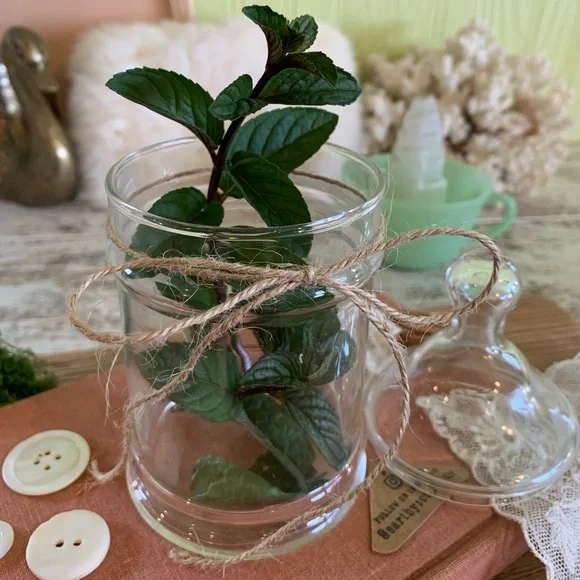 Vintage Glass Canister 🫙 - Picture 7 of 9